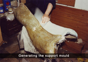 sopport mould